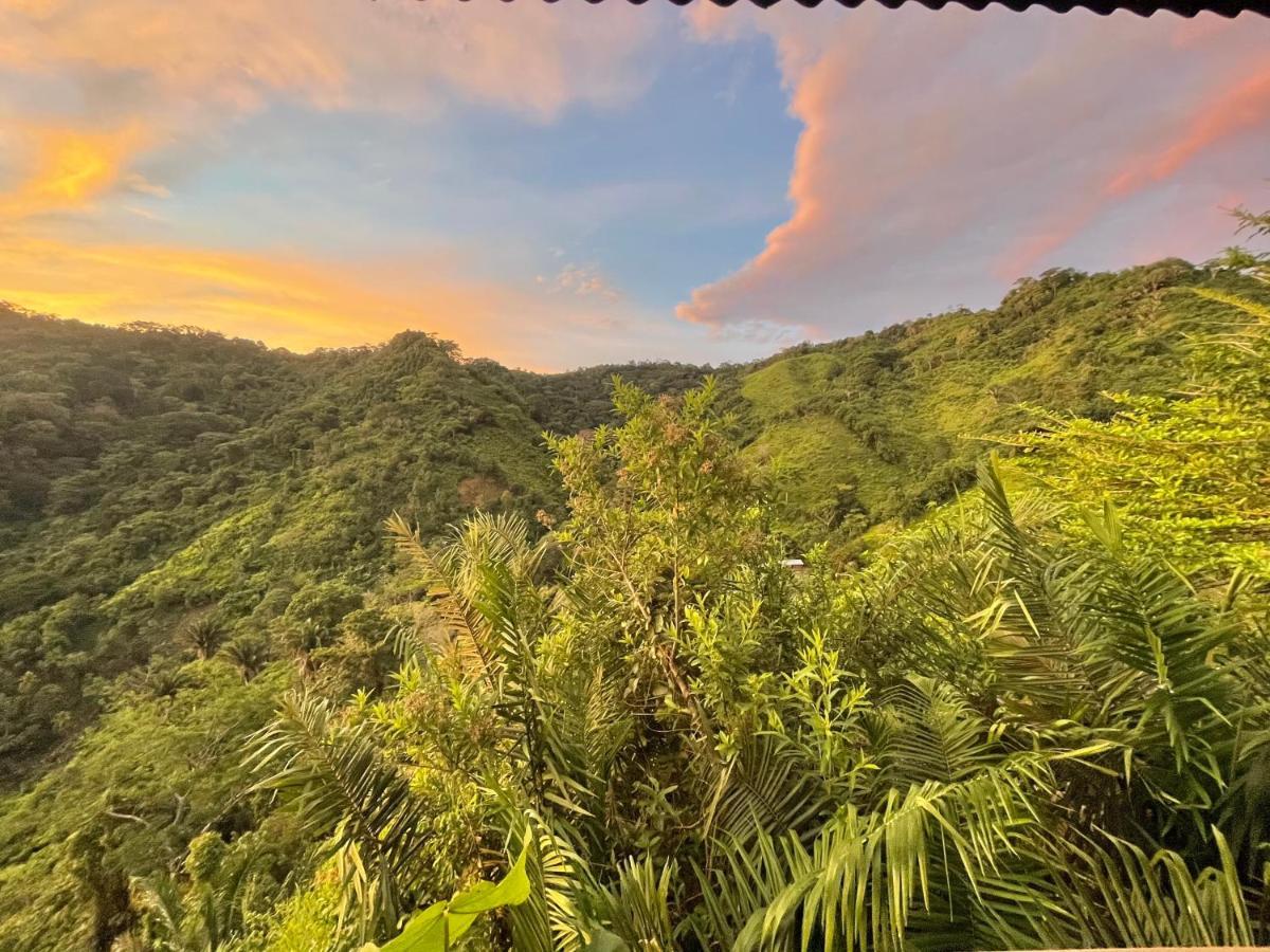 Finca Cuipo 伯里塔卡 外观 照片